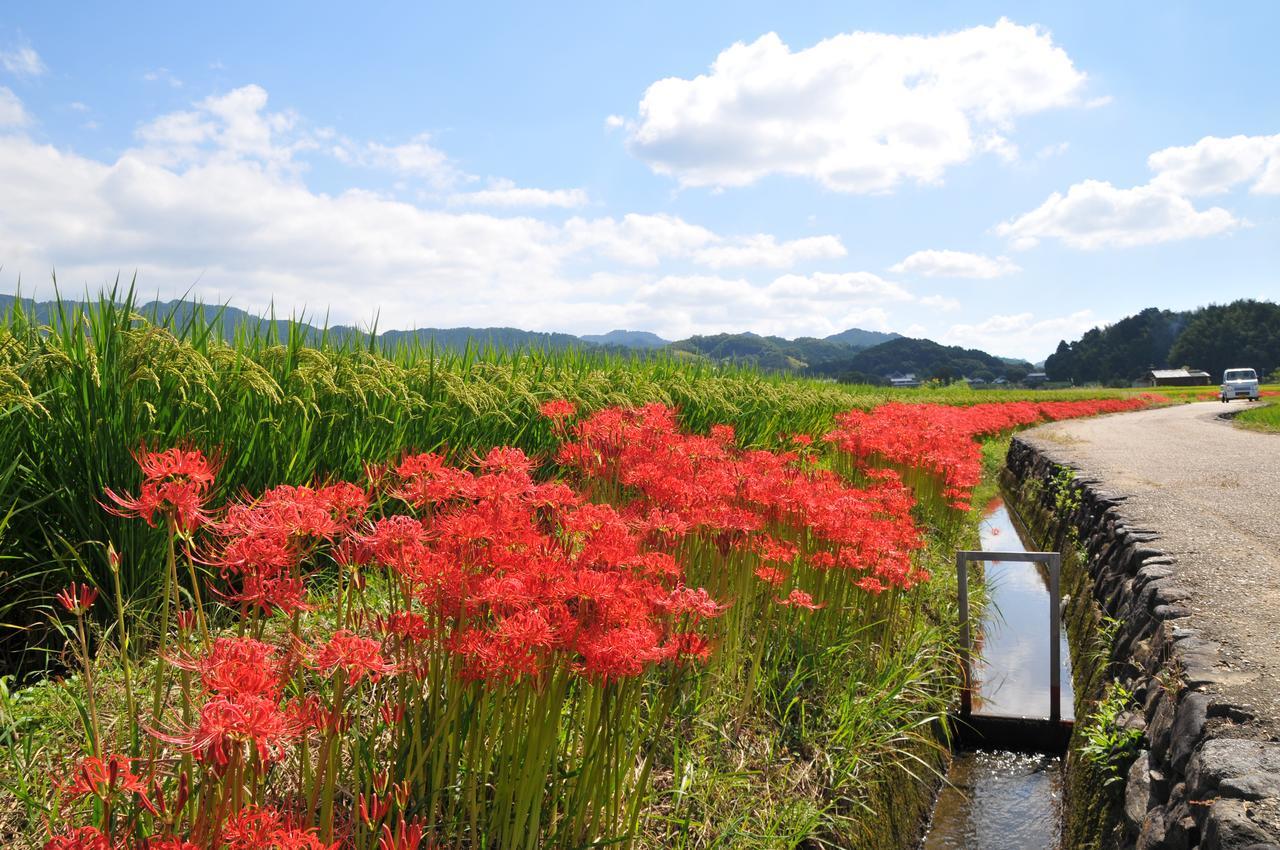 Asuka Guest House Exterior foto
